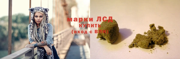 крисы Алзамай