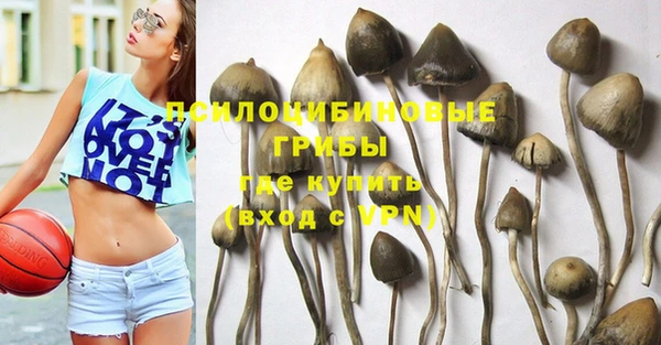 прущие грибы Алексин